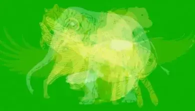 El primer animal que ves en la imagen dice mucho de ti