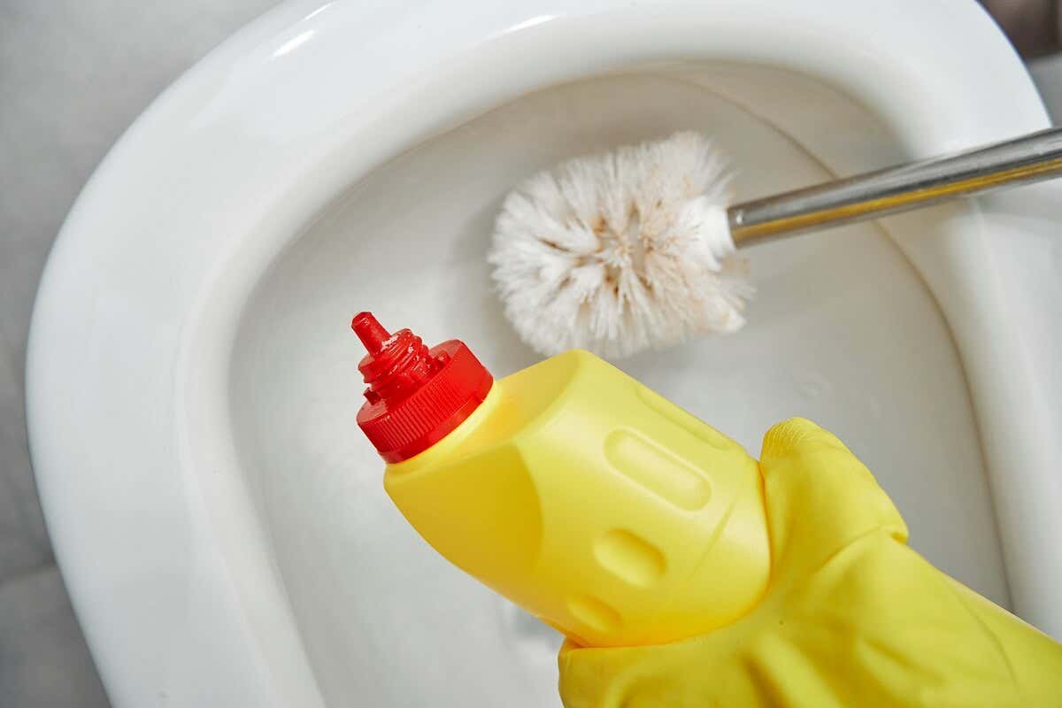 ¿Cómo limpiar la escobilla del inodoro? Consejos y pasos