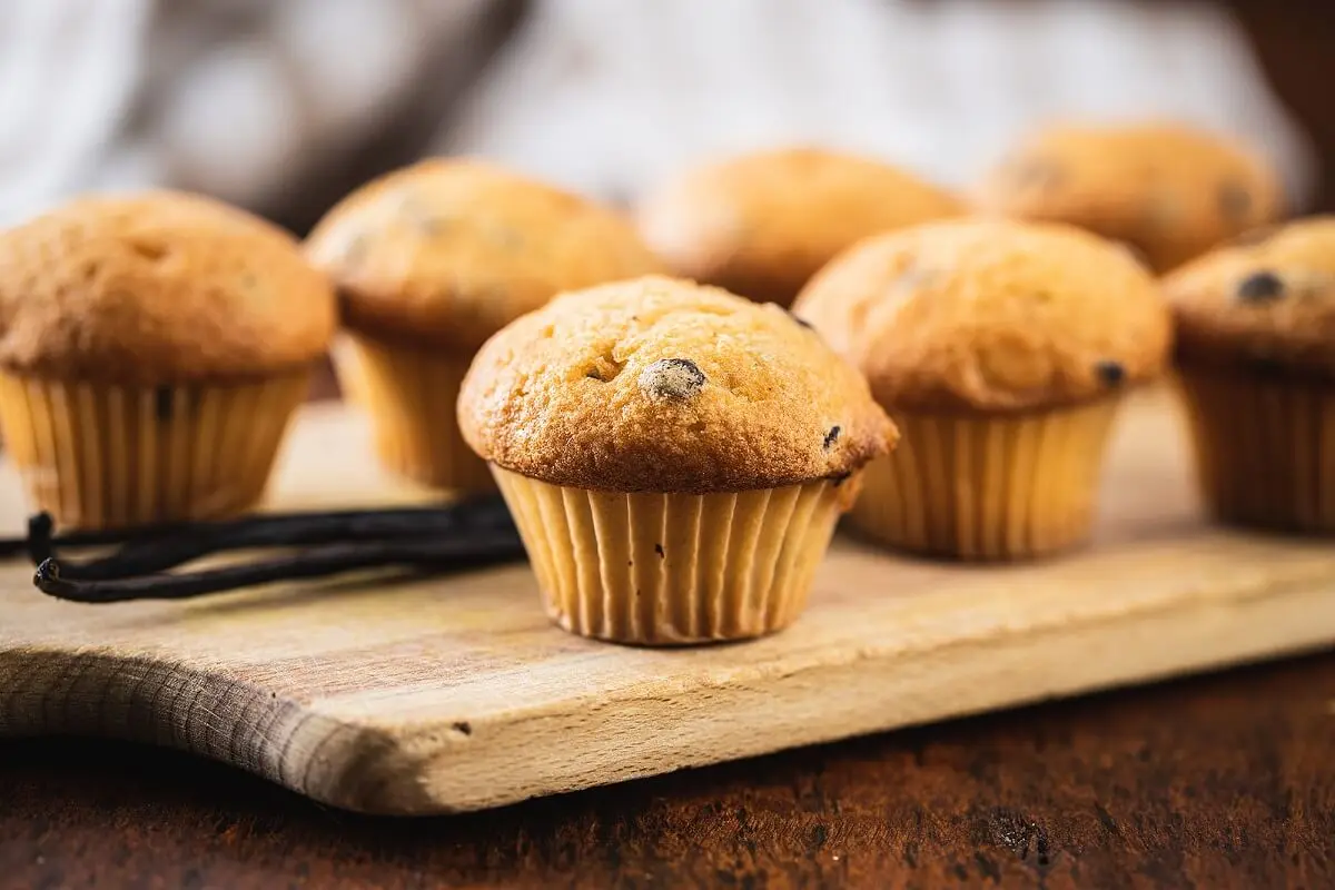 Valencianische Madeleines