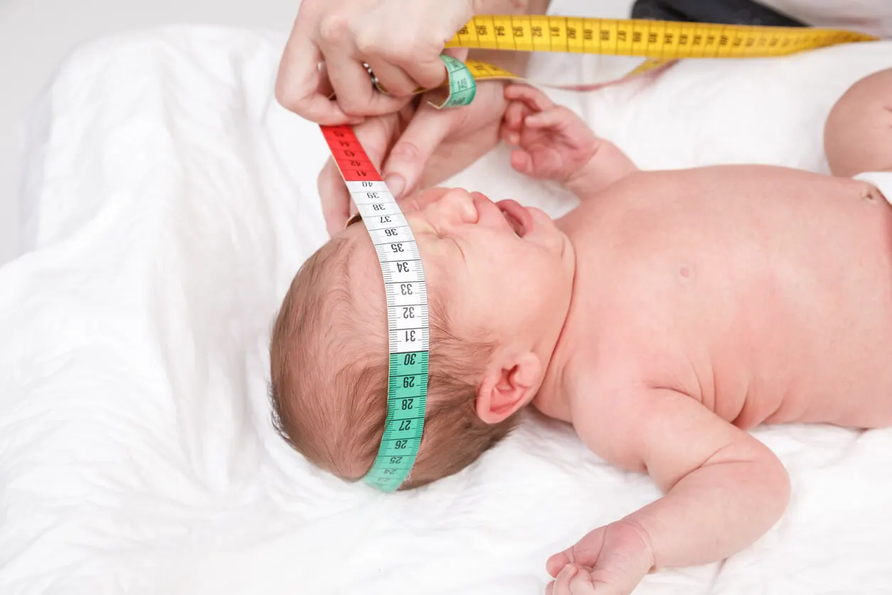 Perímetro cefálico de um bebê de 4 meses.