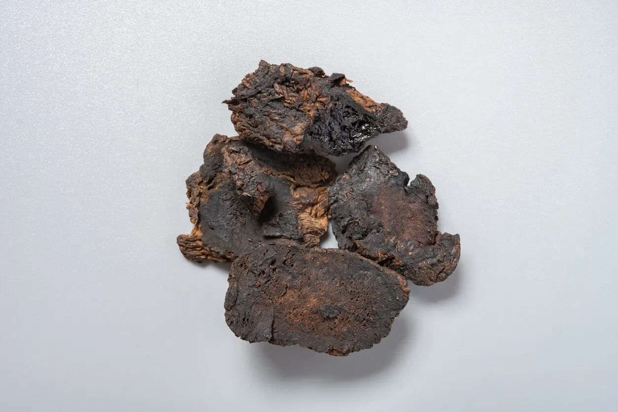 Behandlung von Schuppenflechte mit TCM - DiHuang o Rehmanniae Radix
