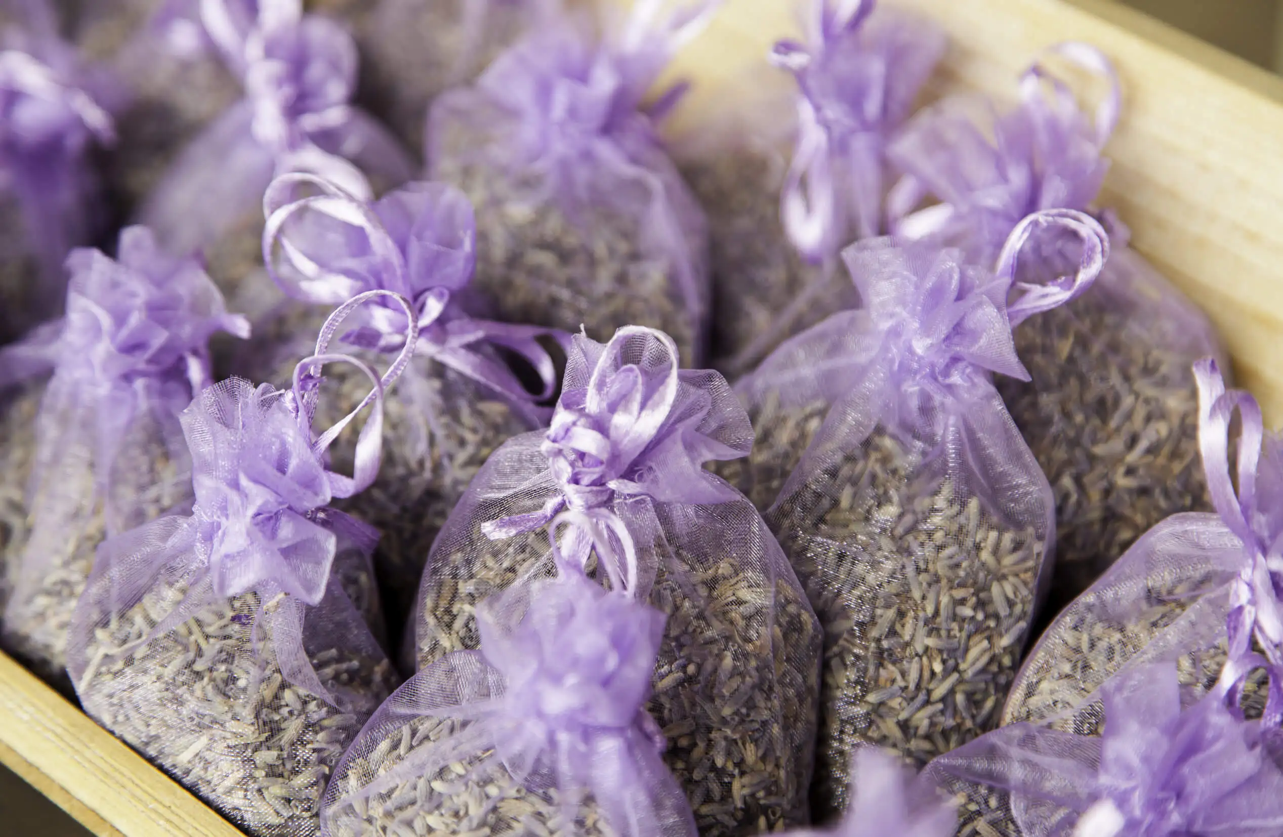 Aromatizantes de lavanda para la casa.