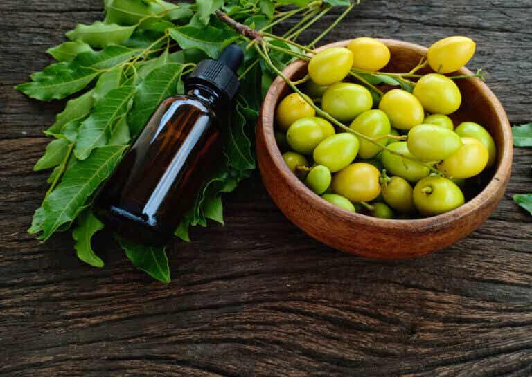 Cómo usar el aceite de neem para cuidar las plantas del jardín