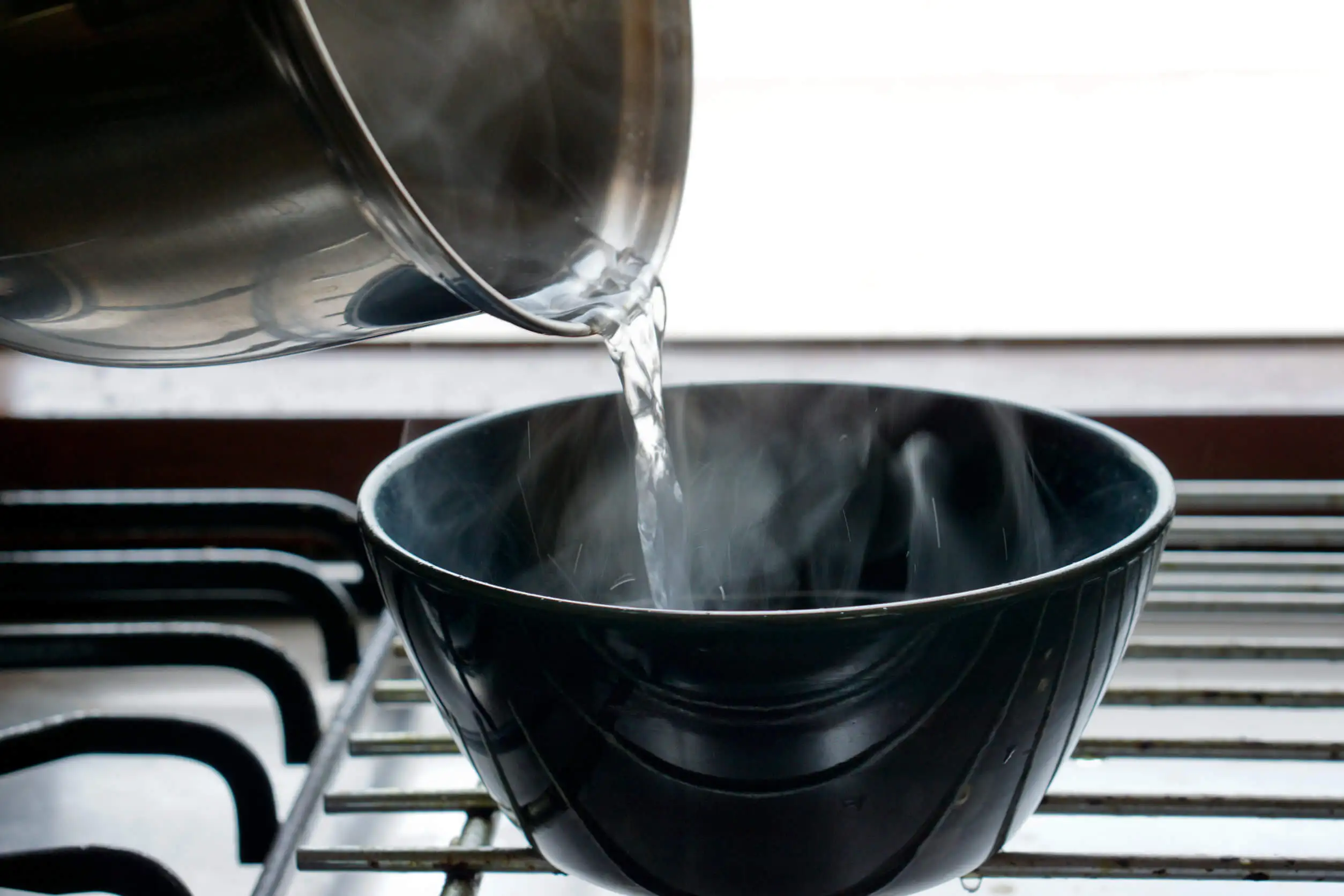 Água quente é usada para eliminar pulgas de casa