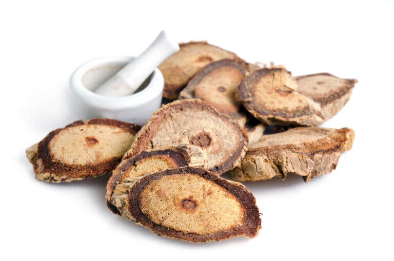 Butea superba: usos, beneficios y efectos secundarios