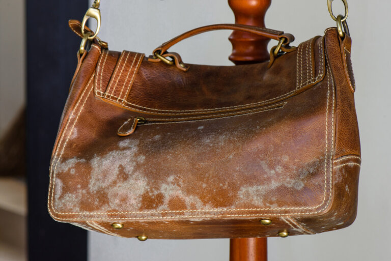 Cómo limpiar tus bolsos y carteras de cuero