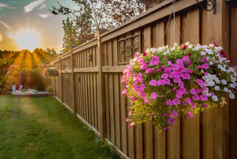 6 ideas para delimitar y embellecer un jardín o prado