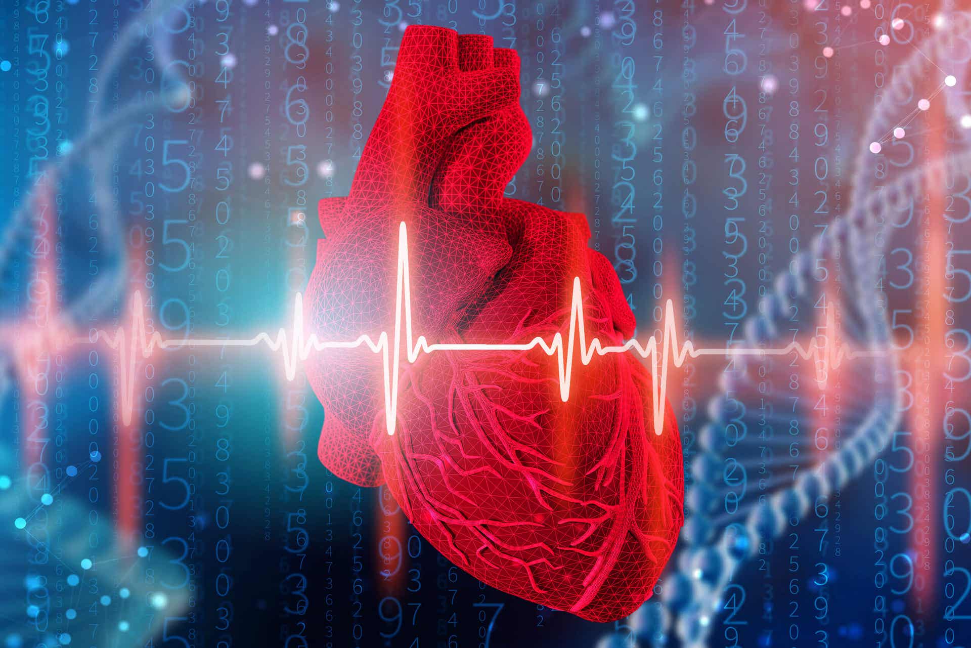 Électrocardiogramme dans le cœur.