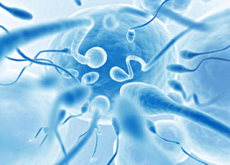 18 curiosidades que no sabías sobre el semen y el esperma