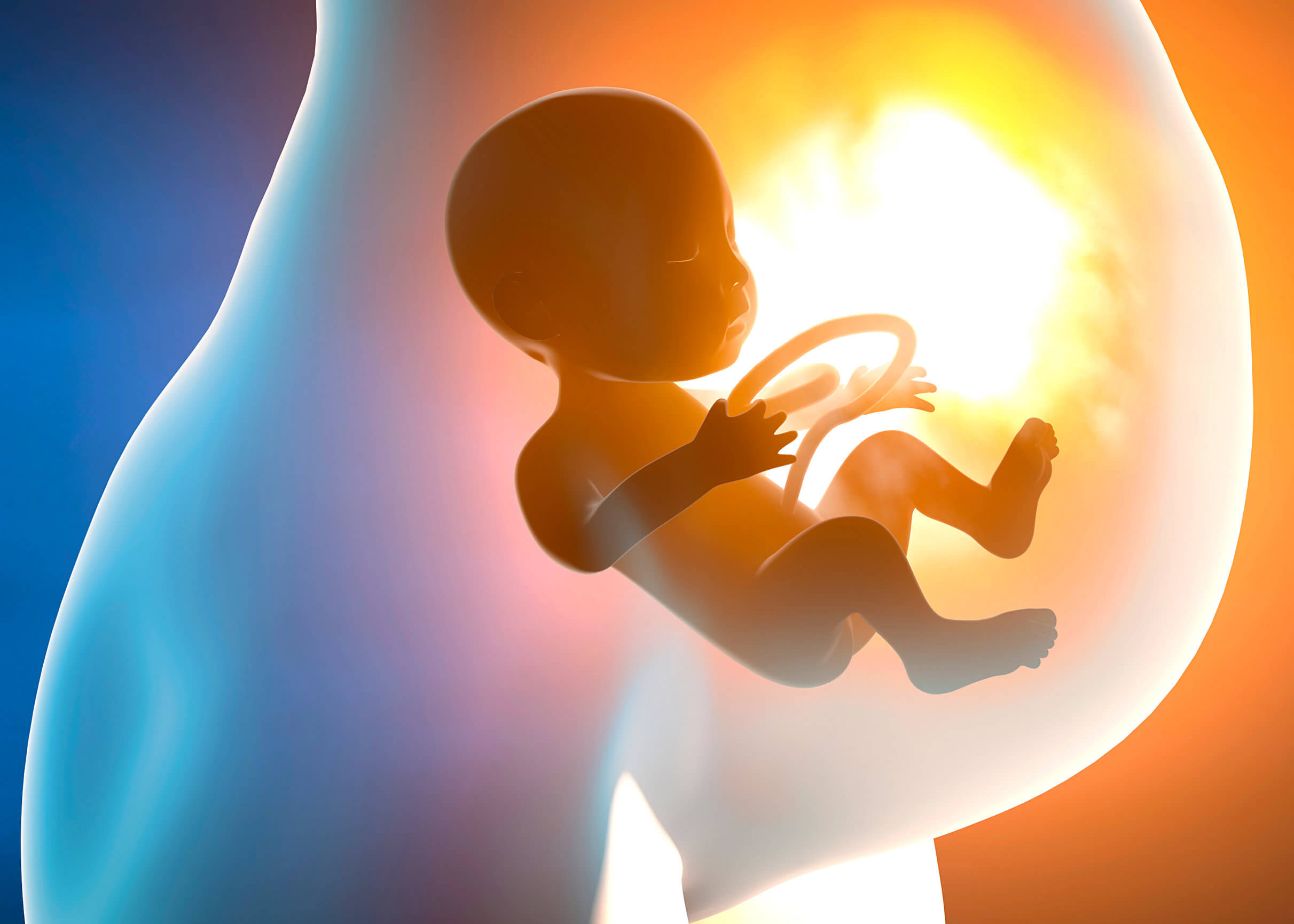 5 maneras de aumentar tu consumo de ácido fólico en el embarazo