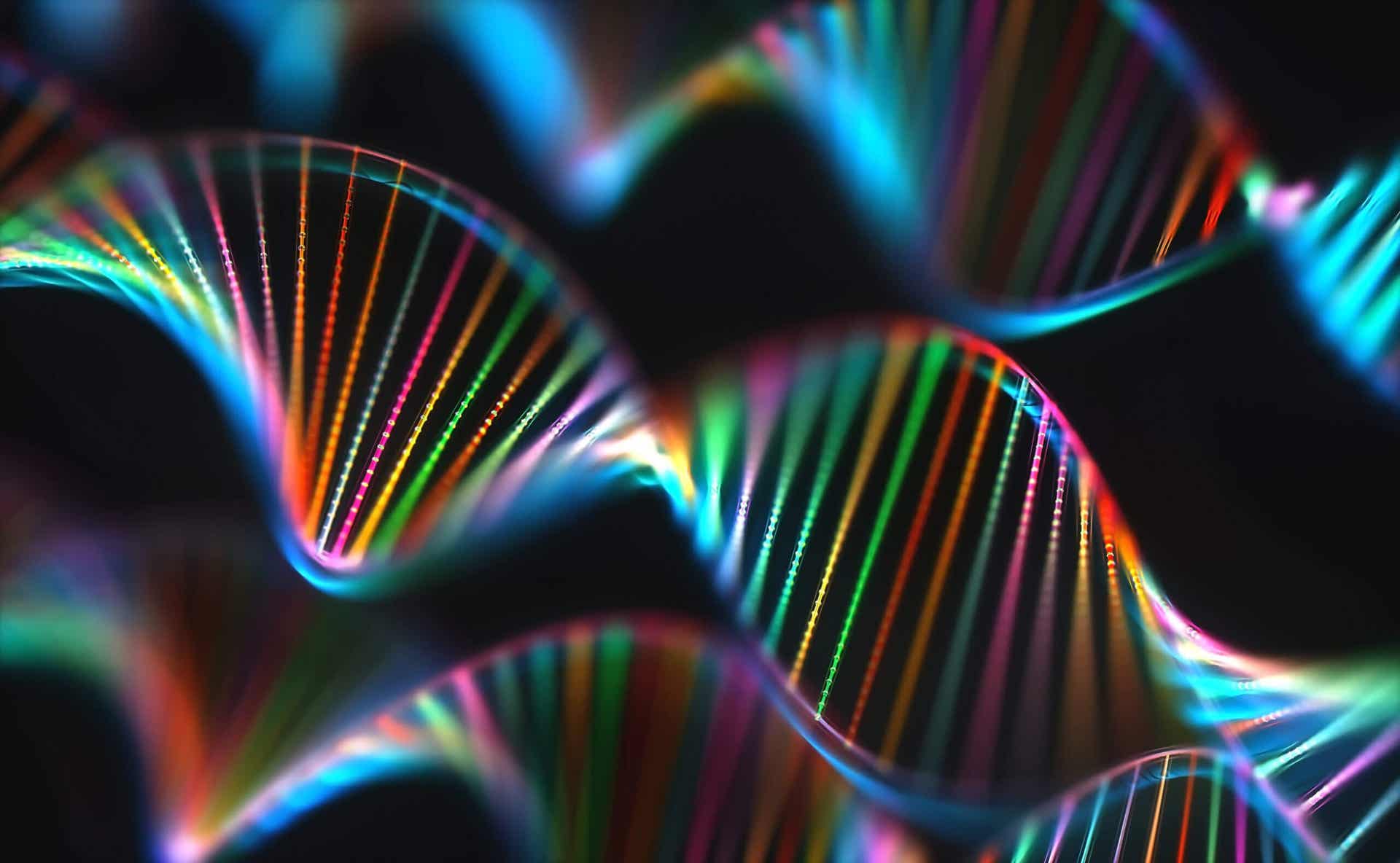 ADN para vacunas contra el cáncer