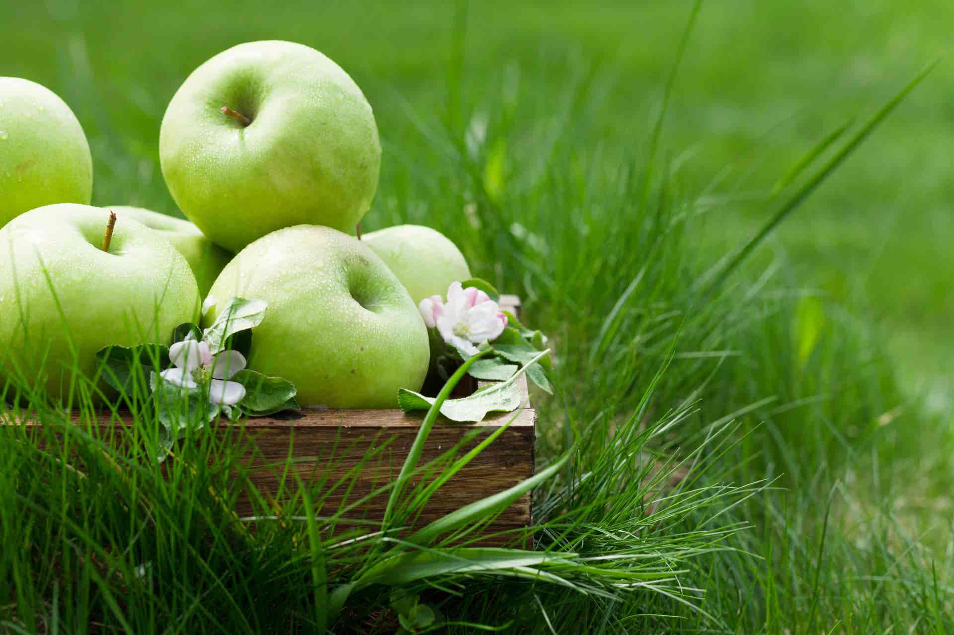 Les fruits qui enflamment l'estomac comprennent la pomme verte