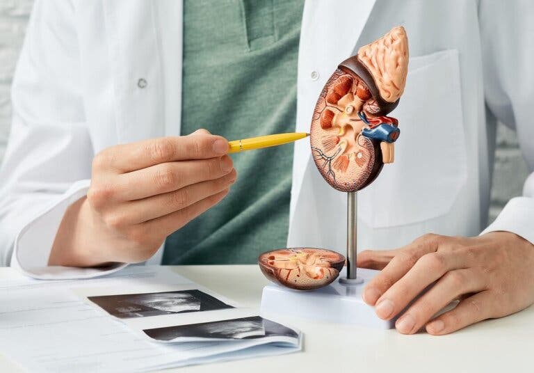 13 maneras en que la enfermedad renal afecta la salud de la piel