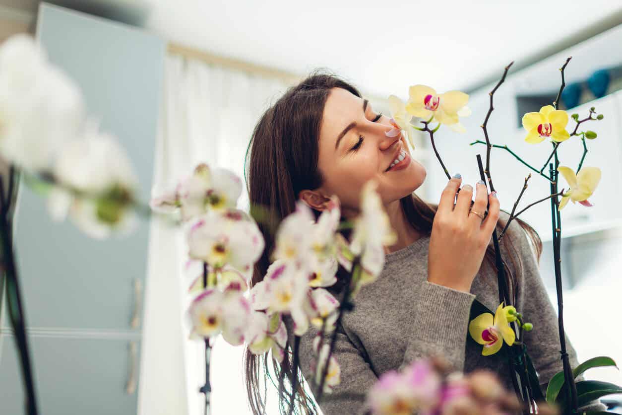 Vrouw ruikt aan orchidee