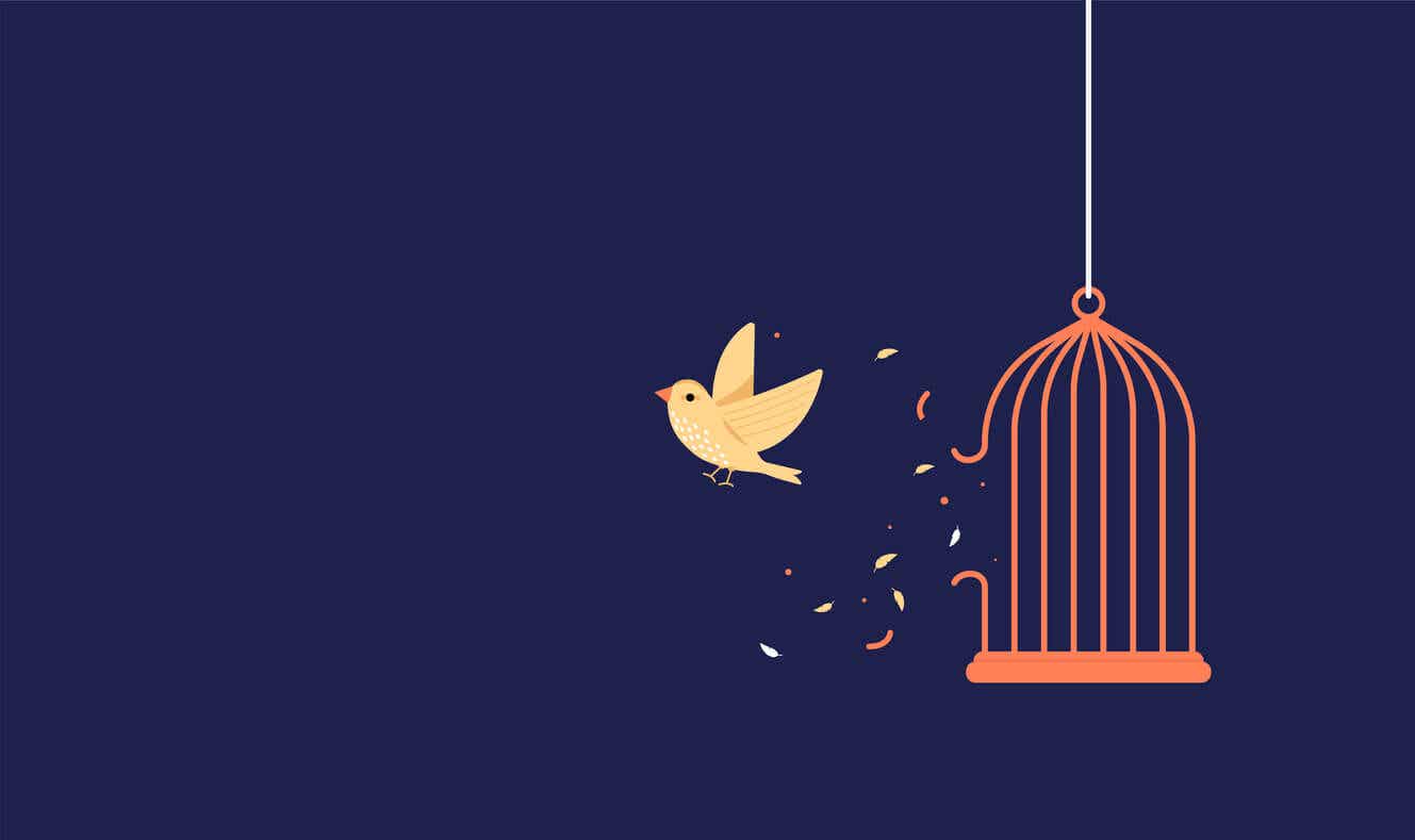 Négritude - Vogel entkommt aus einem Käfig