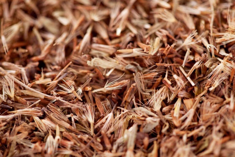 Aceite esencial de palmarosa: usos, beneficios y consejos