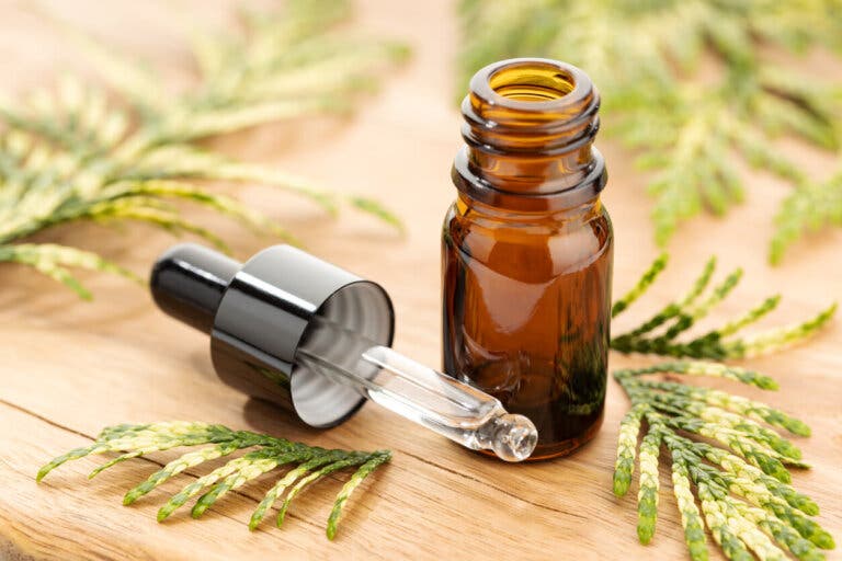 ¿Qué son los aceites esenciales, cómo y por qué funcionan?