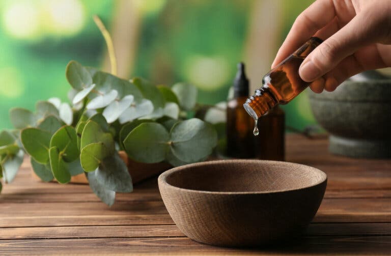 Cómo limpiar la casa con aceite de eucalipto