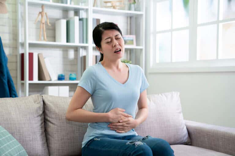 6 plantas medicinales que combaten los síntomas de la gastroenteritis