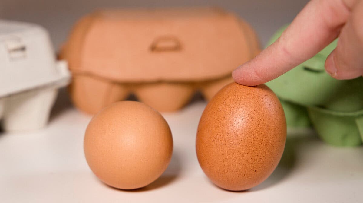 Huevos.