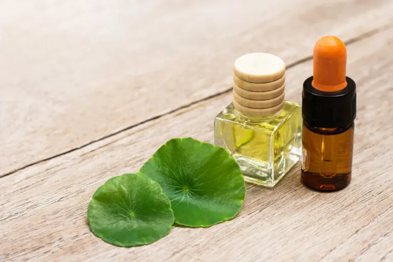¿Por qué la centella asiática es buena para la piel?