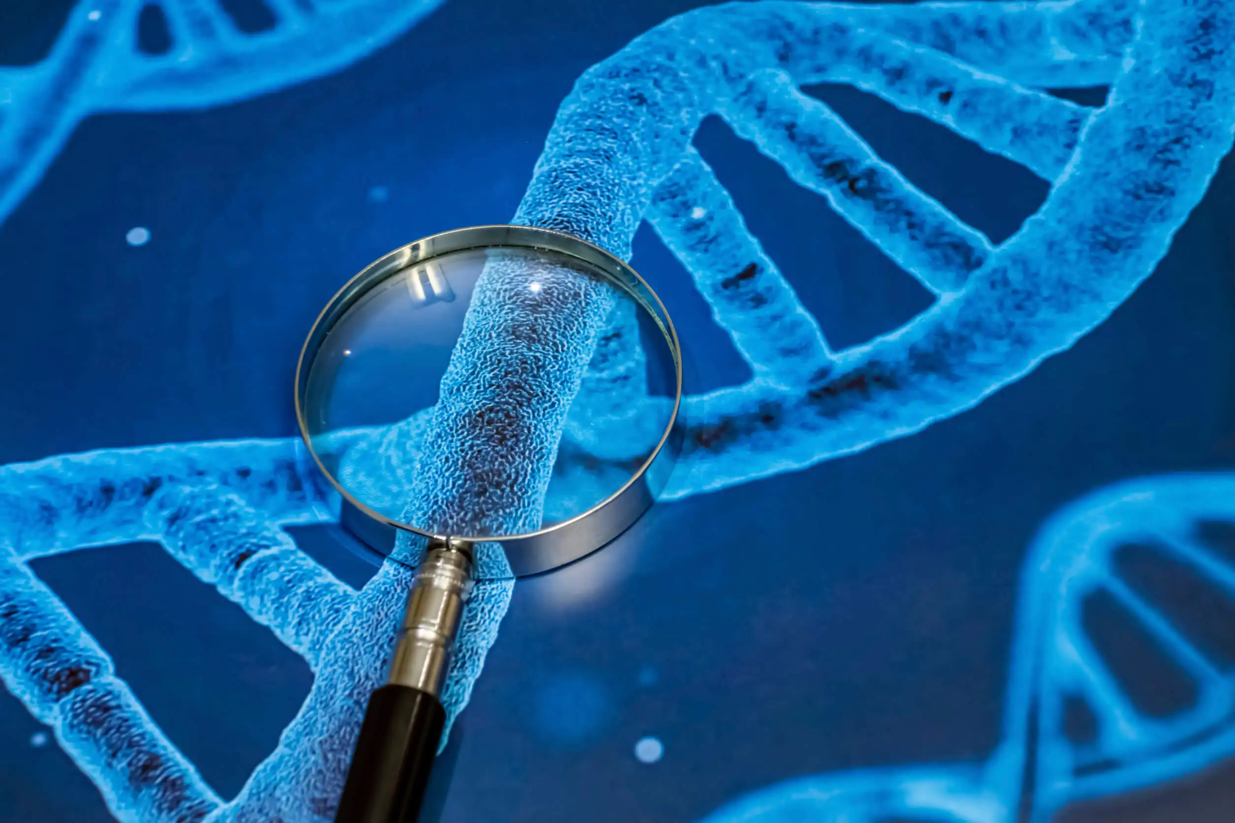 Componente genetica della sindrome da ipermobilità articolare.