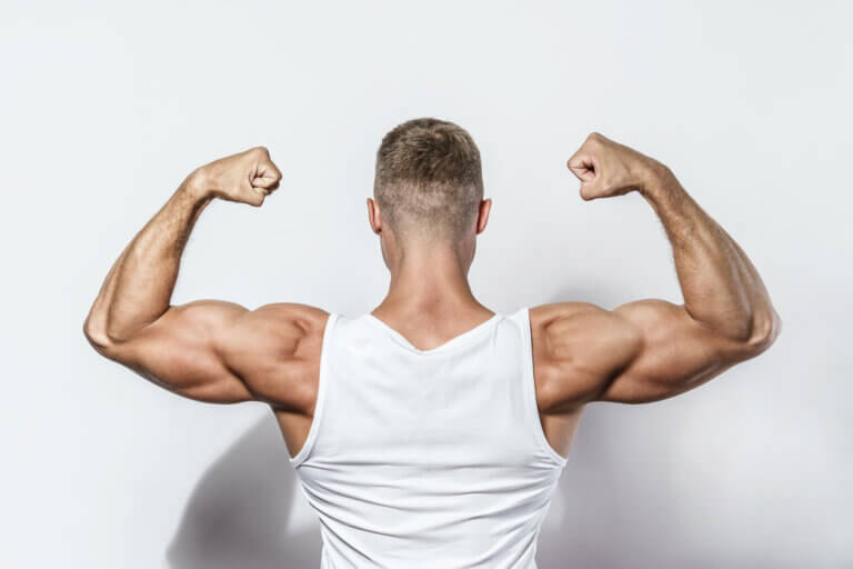 Valina: ¿cómo interviene en el aumento de masa muscular?