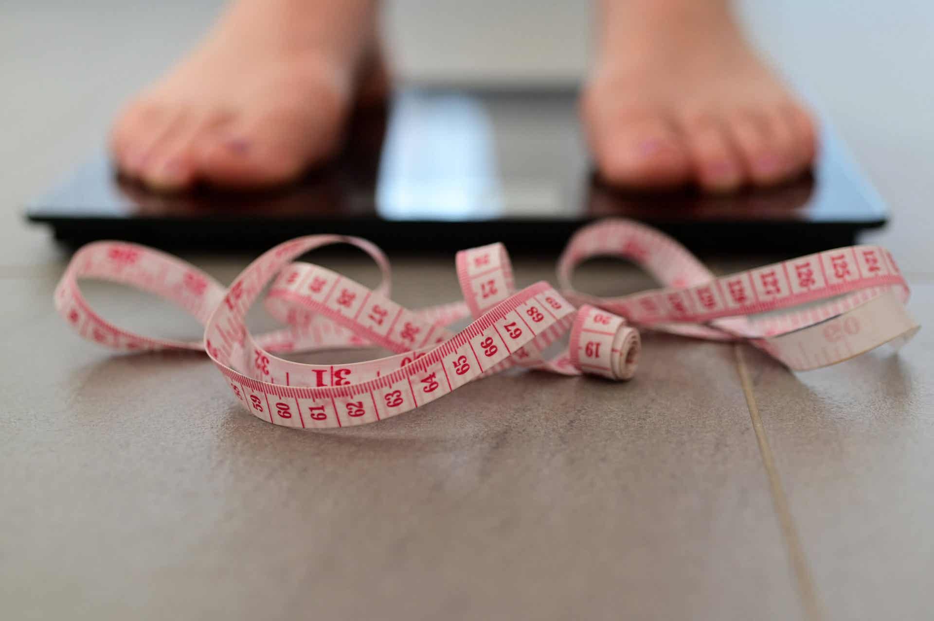 Modular las grasas durante la dieta puede asociarse a la pérdida de peso