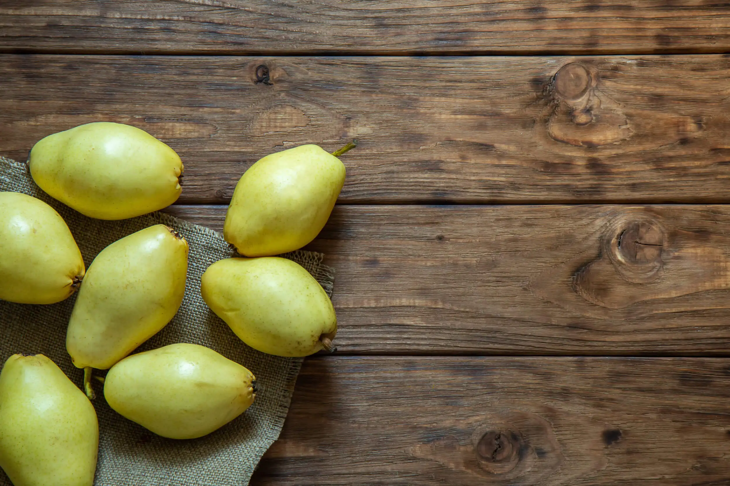 Kennst du die Winterfrüchte? Finde mehr heraus!