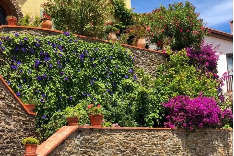 Las 5 mejores plantas para tapizar los jardines