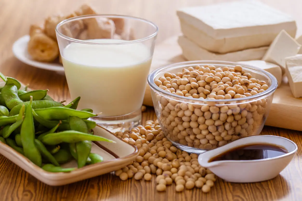 Onde são encontrados os esteróis vegetais?