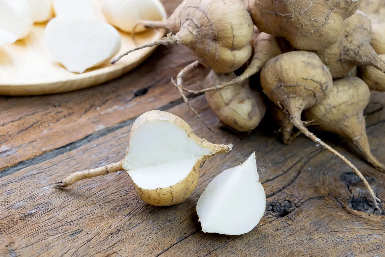 Qu'est-ce que le jicama ?
