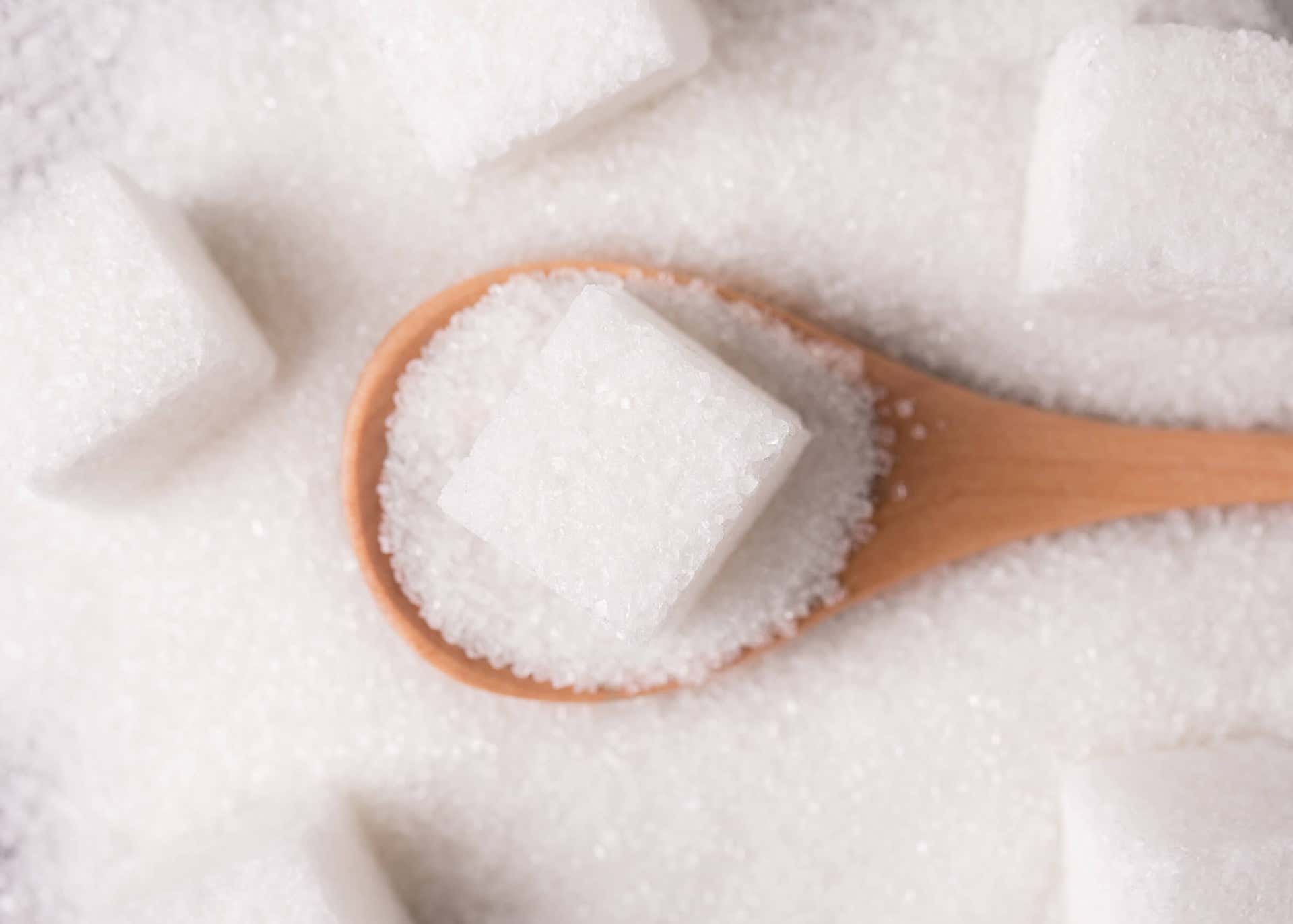 Zuckerrohr - weißer Haushaltszucker