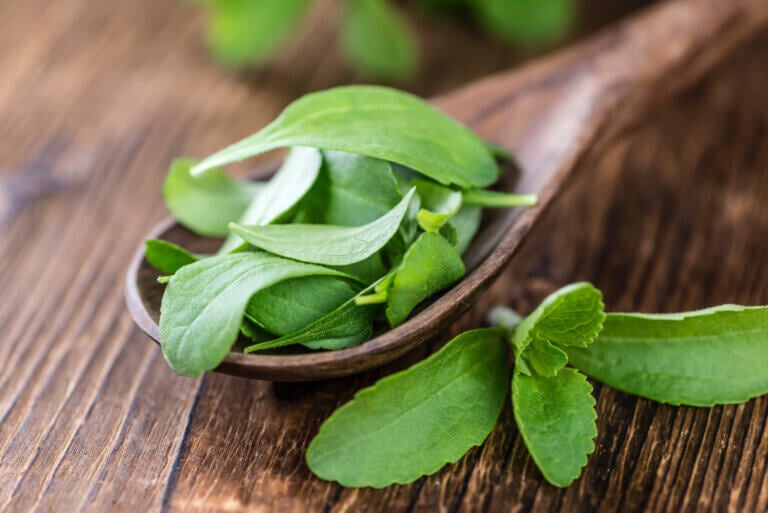 Stevia líquida casera: nutrientes y cómo prepararla