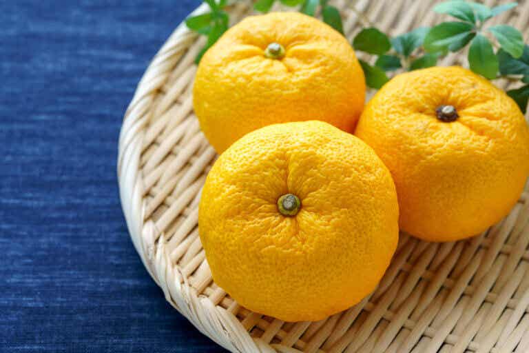 Beneficios del yuzu: un cítrico japonés que te aporta vitamina C