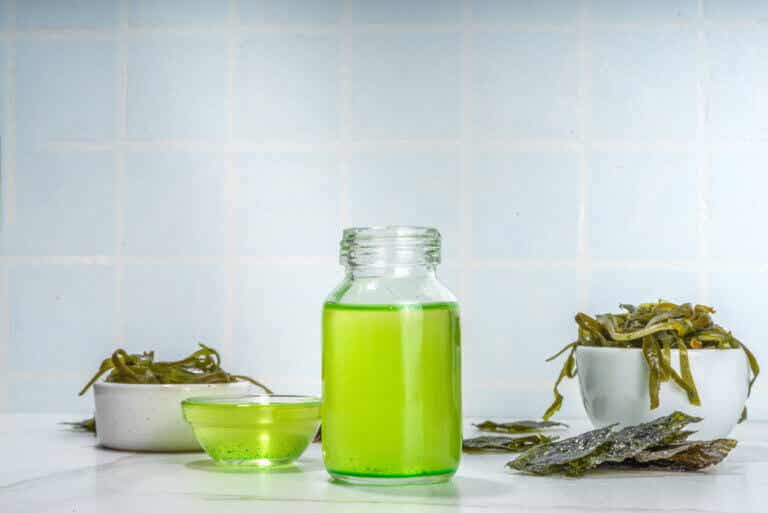 Aceite de algas: una fuente de omega 3 y DHA