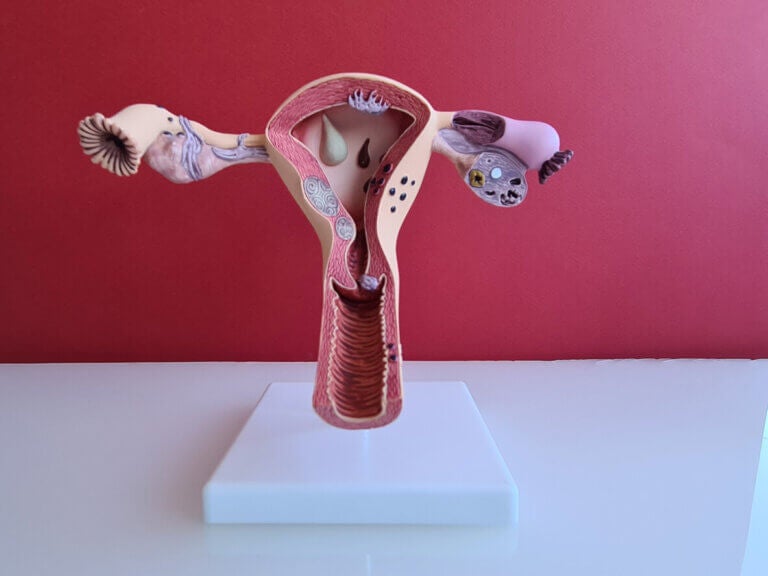 Mucosa cervical: 9 datos que toda mujer debe saber