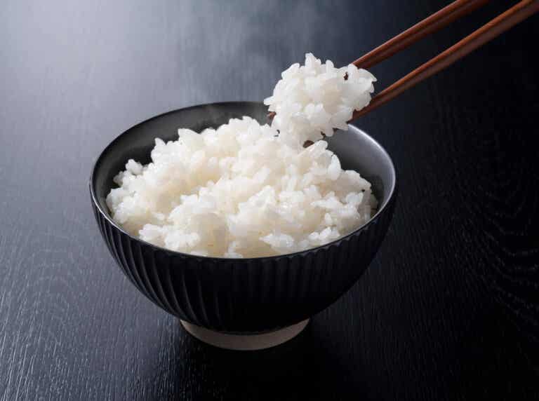 Proteína de arroz: principales beneficios