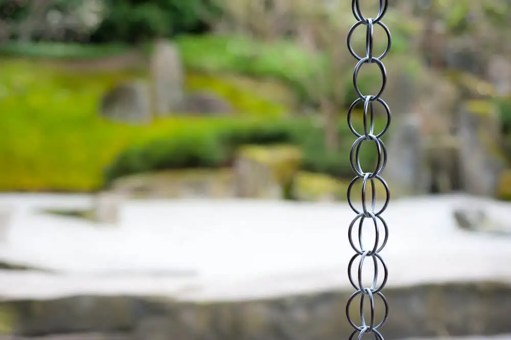 Rain chains in a garden