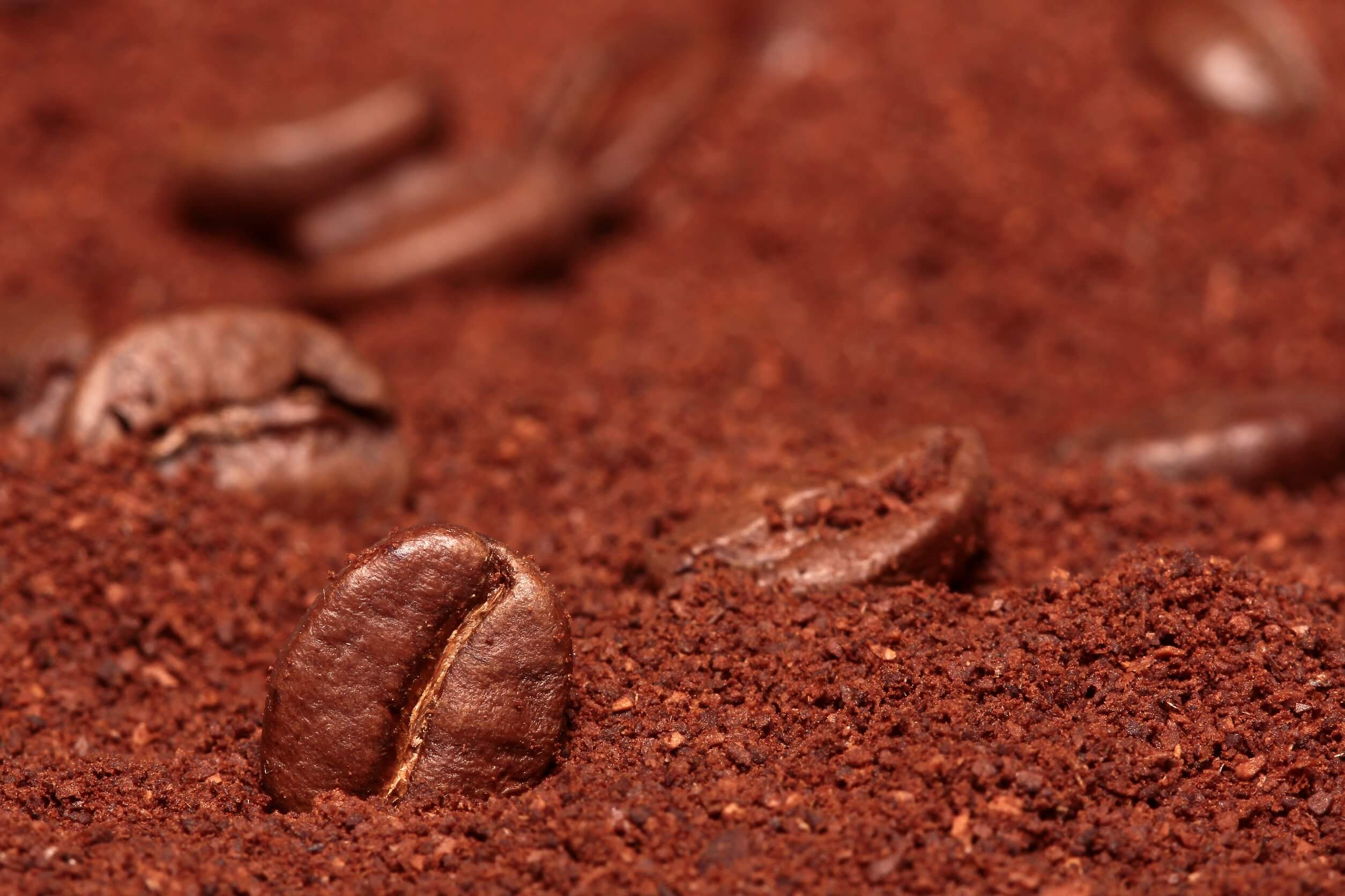 Caffè macinato per tenere lontane lumache e lumache dal tuo giardino