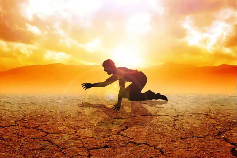 ¿Qué son los desiertos alimentarios y cuál es su impacto en la salud?