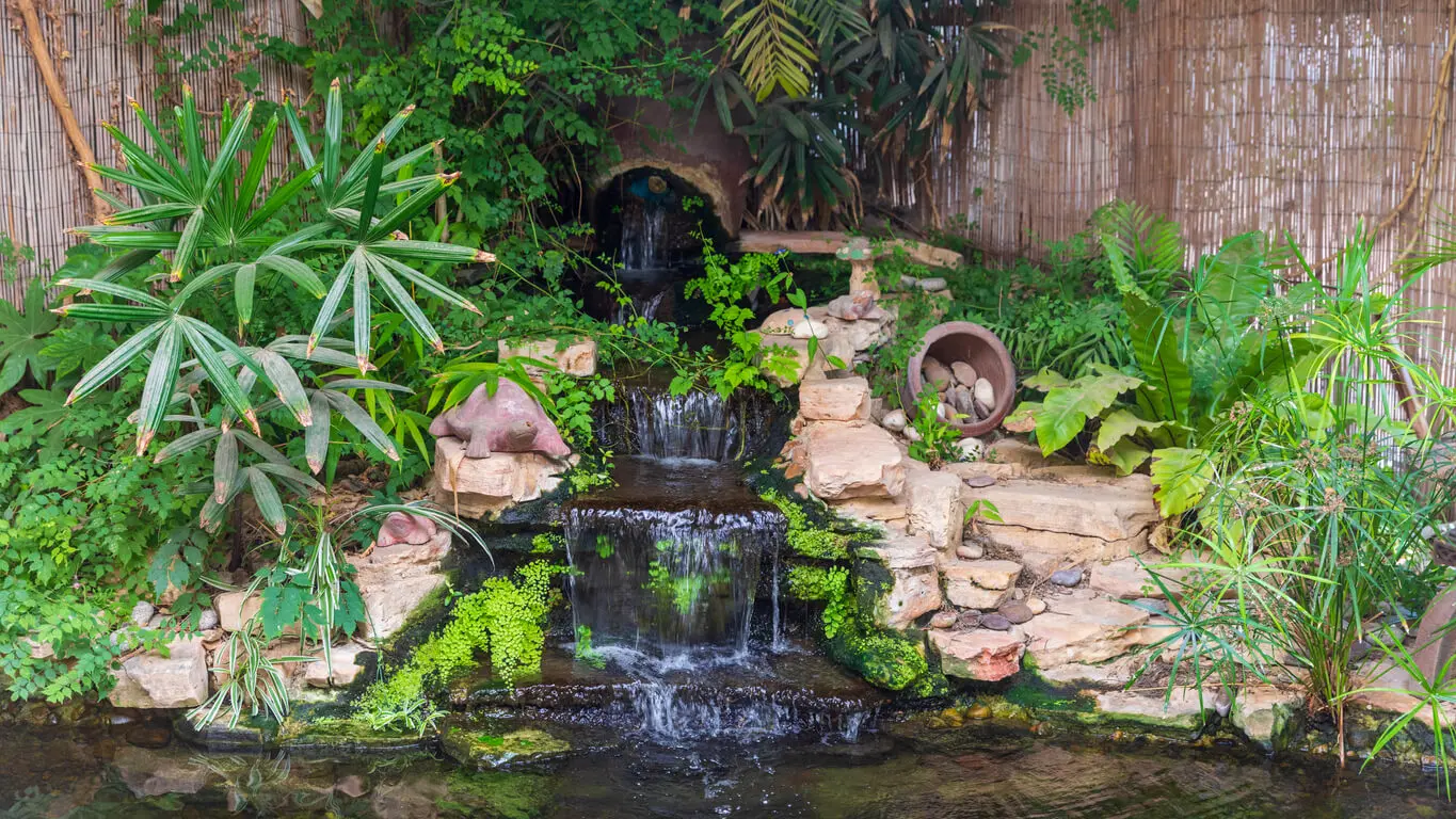 Jardim de água no pátio.