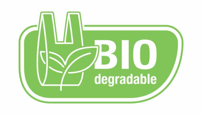 ¿Cuál es la diferencia entre biodegradable y compostable?