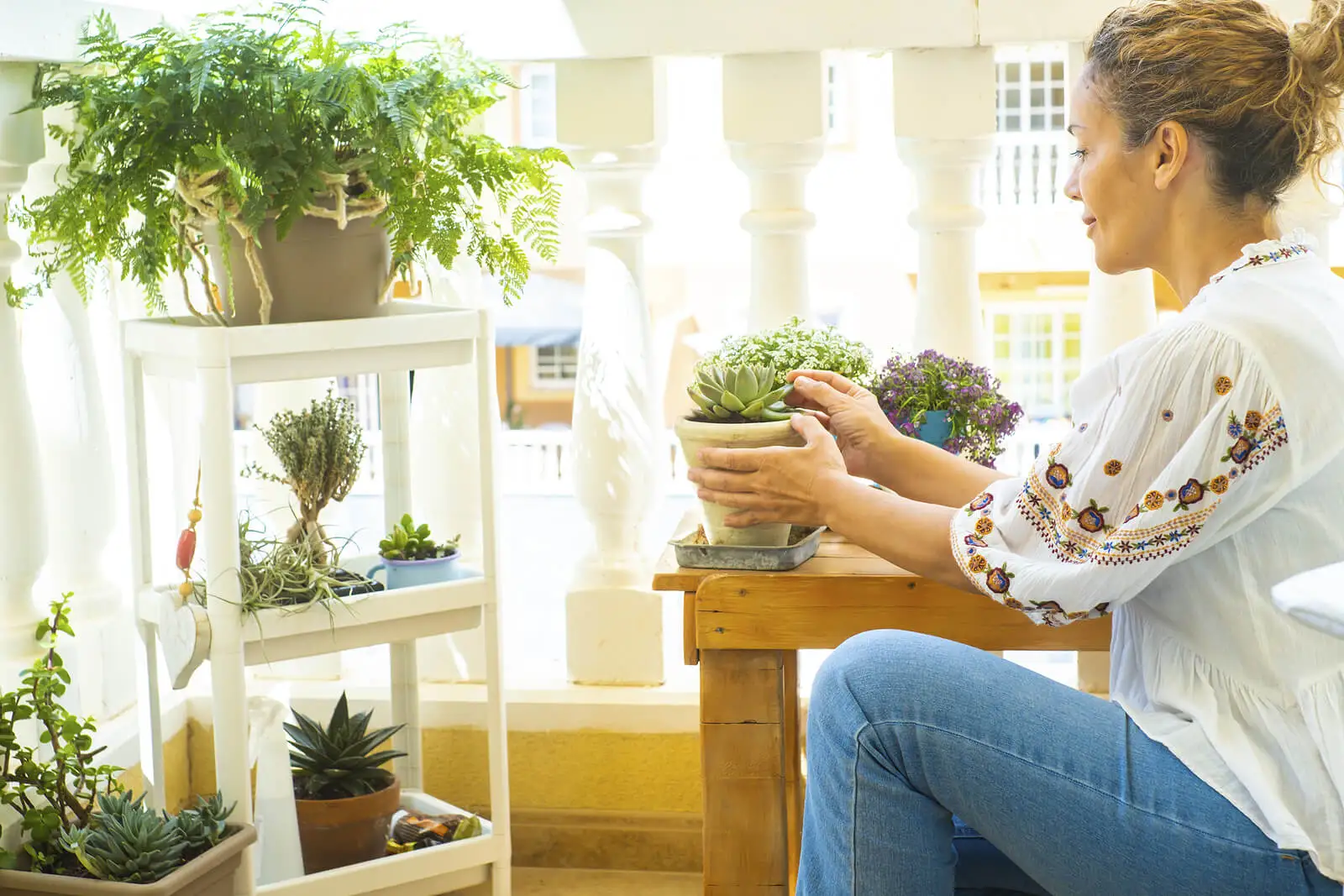 Planten