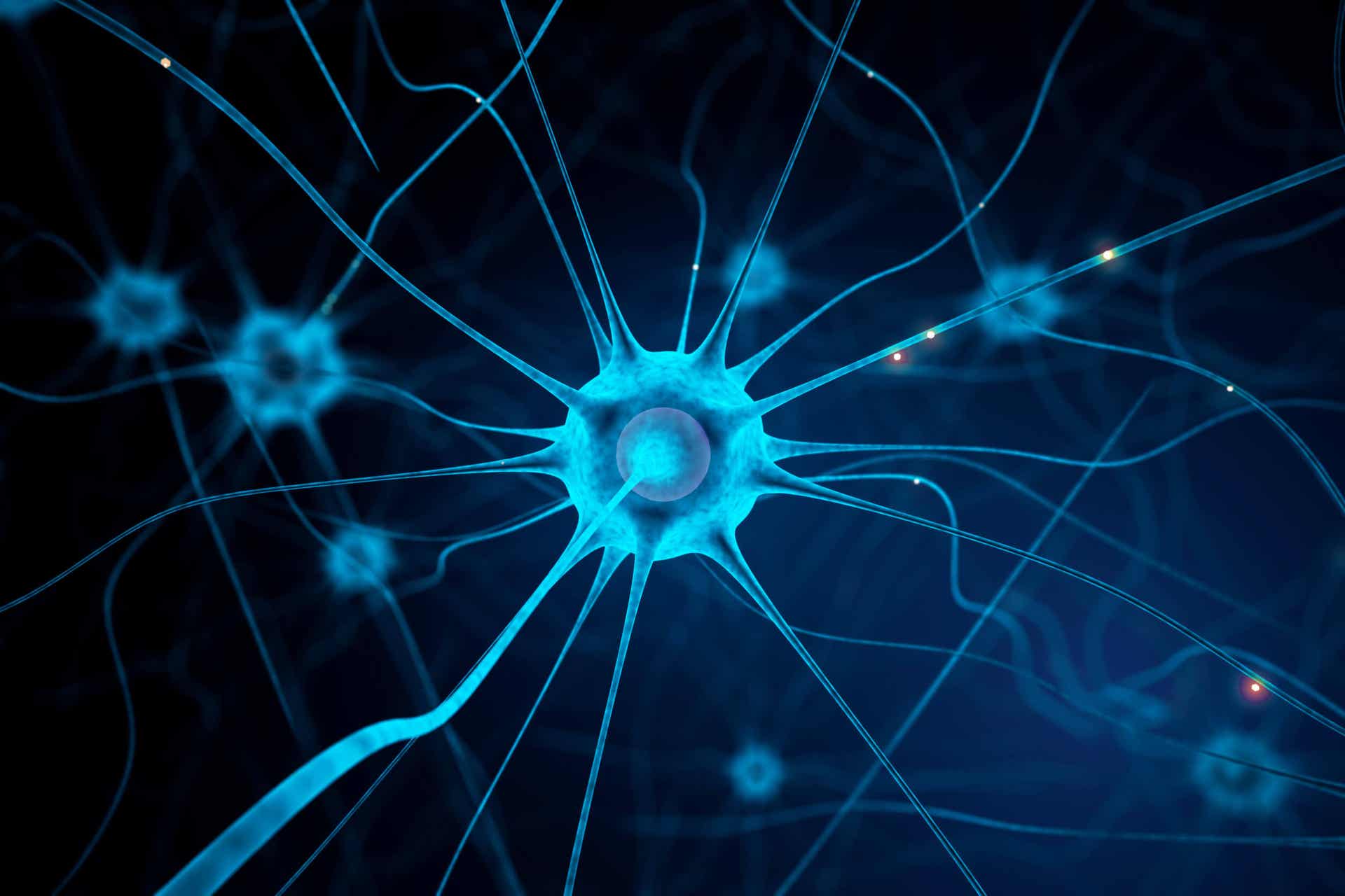 Neuronas afectadas en la parálisis supranuclear progresiva.