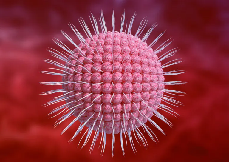¿Qué debes hacer en caso de herpes genital?