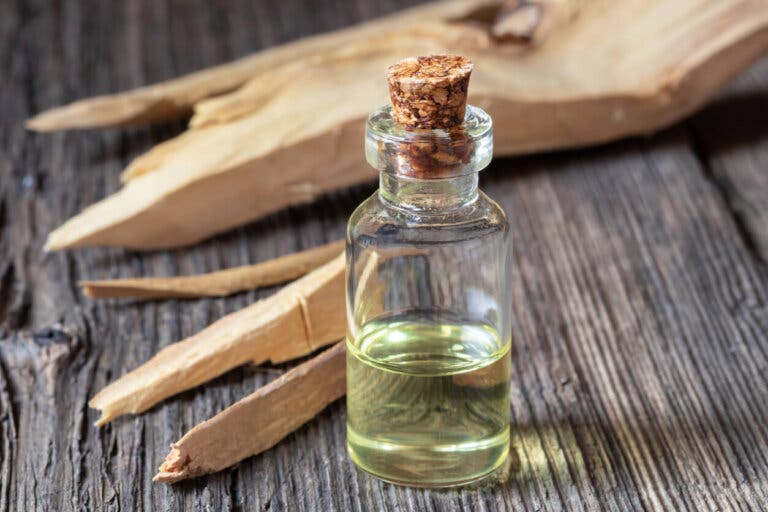 Aceite de sándalo: beneficios, usos y efectos secundarios