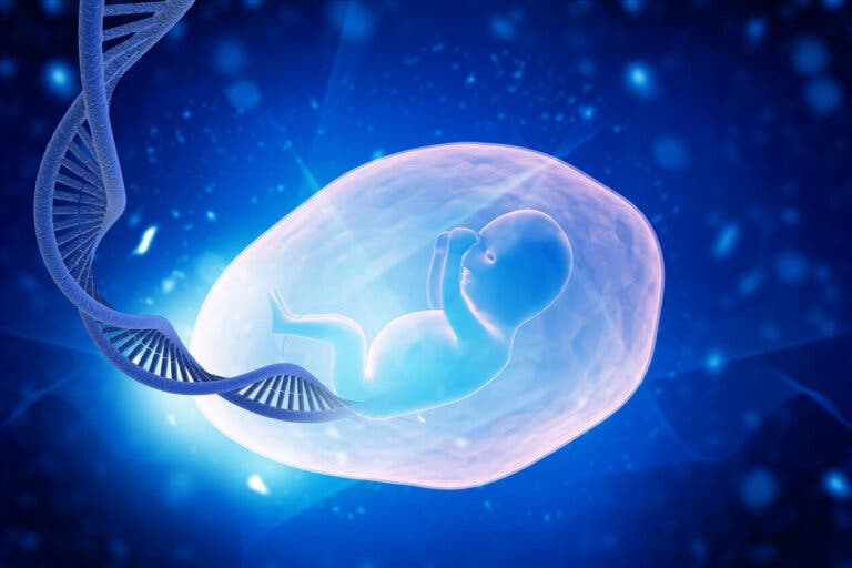 ¿Se puede tener tendencia genética a los abortos recurrentes?