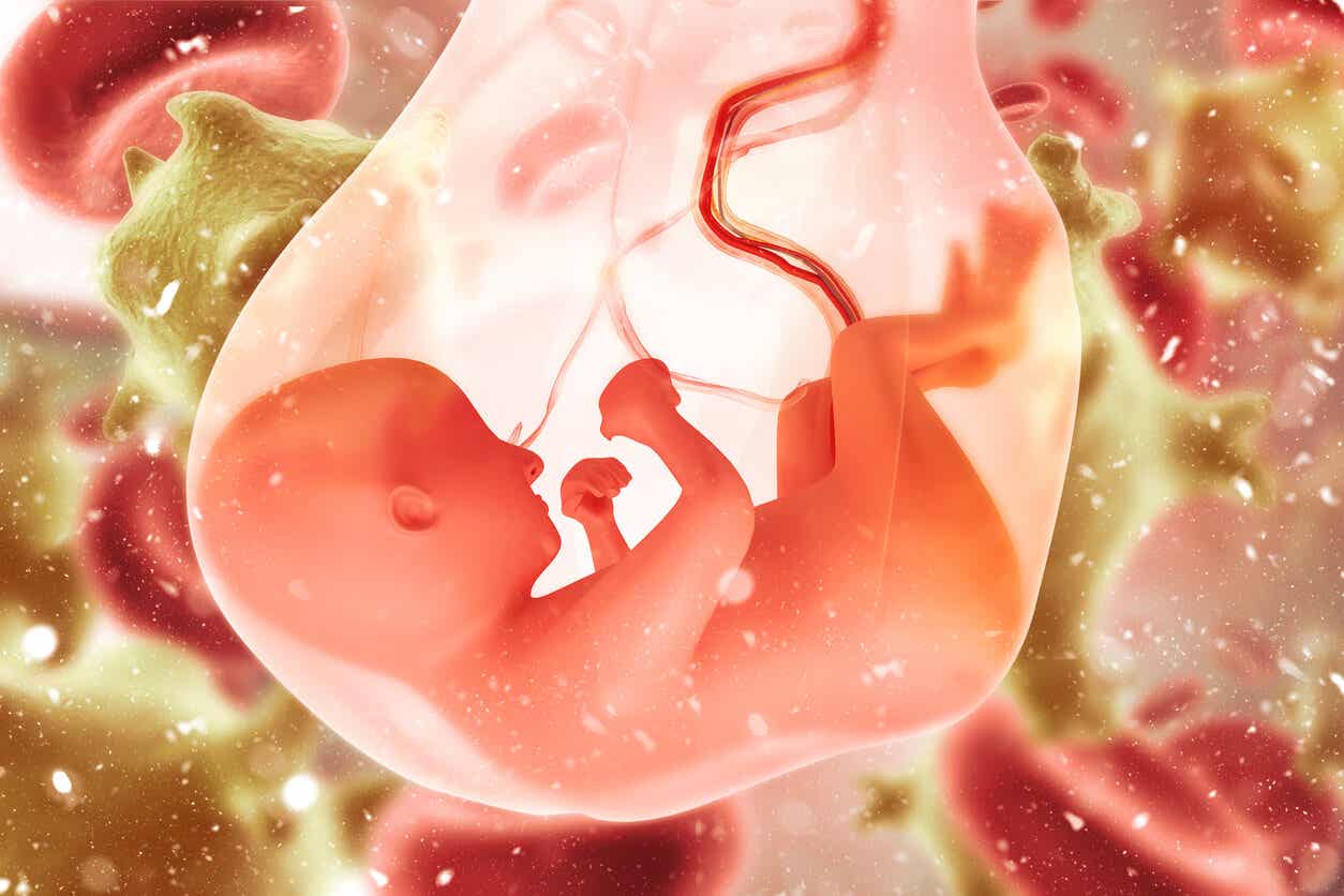 Fruchtwasserprobleme - Fötus in der Gebärmutter