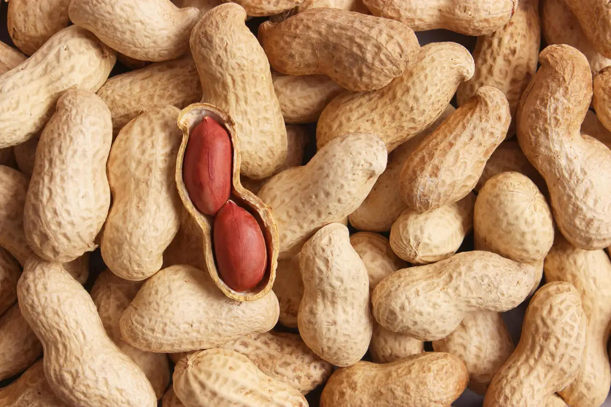 Manís con proteína vegetal.